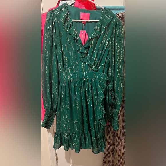 🛑SOLD🛑 NWT Lilly Pulitzer Birdy Long Sleeve Silk Dress - Size 14 - Picture 4 of 4